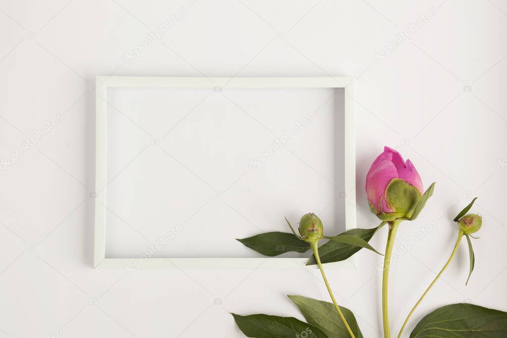white blank card with roses and green leaves on a light background