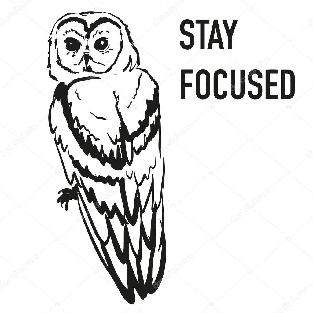 Owl silhouette and wise sayings