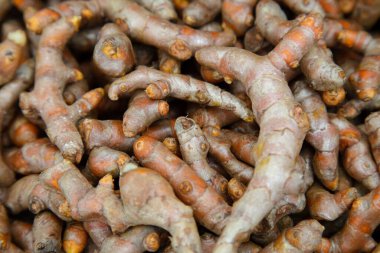 close up of stack fresh turmeric (Curcuma longa) root ready for nutrition in food, cosmetic, medicine and spa.