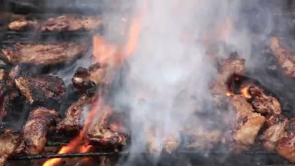 Ribs on barbecue grill — Stock Video