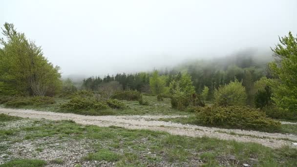 Clima brumoso de montaña - timelapse — Vídeo de stock