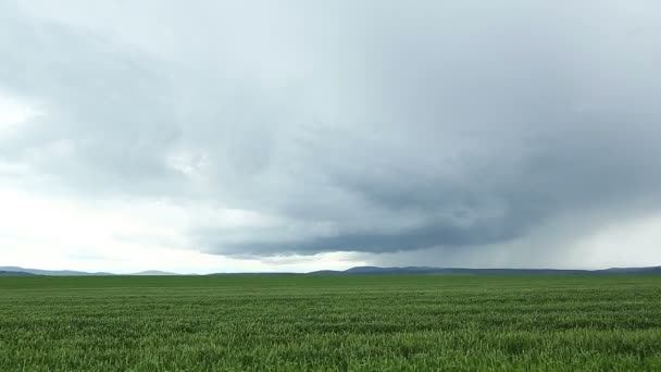 Timelapse - nubes sobre el campo verde — Vídeos de Stock