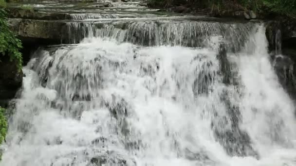 Cascade dans la montagne — Video