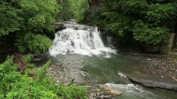 Cachoeira na montanha — Vídeo de Stock