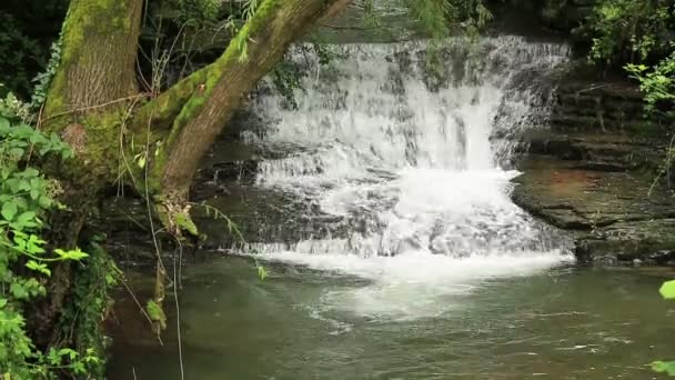 Vattenfall i berget — Stockvideo