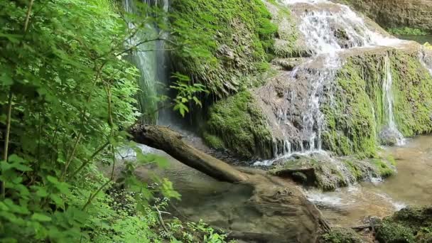 Cascada en el bosque 1920x1080 — Vídeo de stock