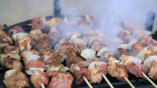 High-definition video van varkensvlees en kip brochetten op barbecue grill — Stockvideo