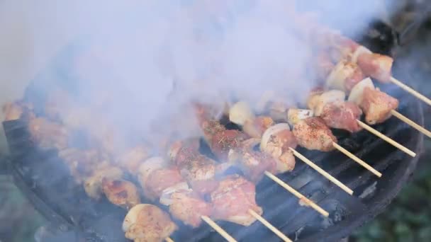 Video in alta definizione di spiedini di maiale e pollo alla griglia — Video Stock