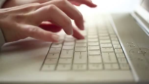 El lapso de tiempo de la mujer de negocios escribiendo en PC — Vídeo de stock