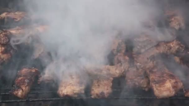 Filetes y costillas en la parrilla de barbacoa — Vídeos de Stock