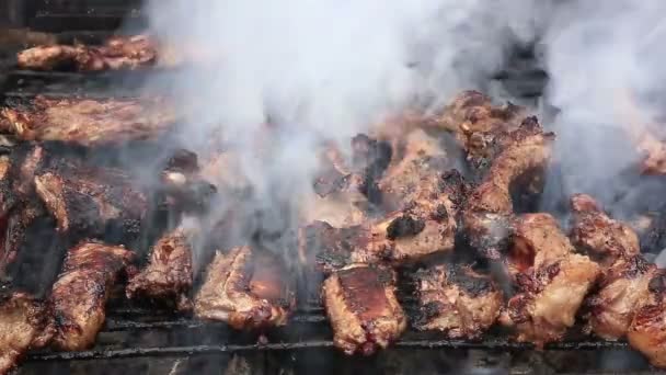 Steaks and ribs on barbecue grill — Stock Video