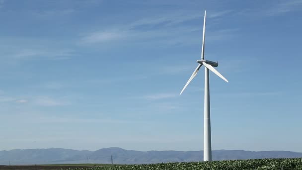 Wind turbine on green field — Stock Video