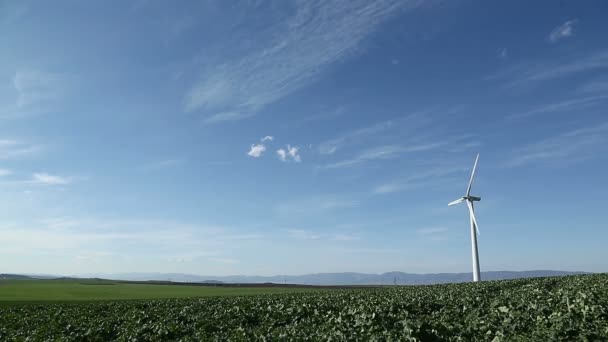 Wind turbine on green field — Stock Video