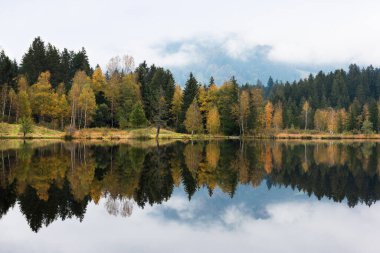Güneşli bir sonbahar manzarası ve sisli bir günde dağ gölüne yansıyan güzel bir manzara. Avusturya, Kitzbuhel.