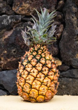 Küçük taze olgun portakal ananası, lezzetli ve sağlıklı tropikal meyve. El Hierro, Kanarya Adası, İspanya.