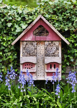 Güzel, eski bir böcek ya da böcek oteli, sarmaşık kaplı bir duvara asılmış ve bahar bahçesinde mavi çan çiçekleri. Hayvan Koruma Konsepti.