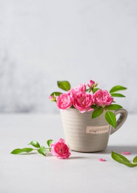 Bej renkli küçük bir fincanda zarif pembe güller. Yaz çiçekleriyle dolu bir hayat. Boşluğu kopyala.