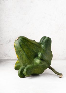 Çarpıcı parmak yapısı ve doğal renk değişimleriyle Yugoslavya yadigarı kabak parmakları (Cucurbita pepo). Sonbahar hasadı, mevsimlik dekor, sonbahar vitrinleri ve organik gıda..