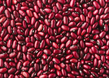 Kırmızı böbrek fasulyelerinin (Faz vulgaris) üst görünümü pürüzsüz cilt ve ince röflelerle. Protein zengini besinleri, vegan beslenme, tarım ve sürdürülebilir bitki bazlı bileşenleri temsil eden doğal kurumuş baklagiller