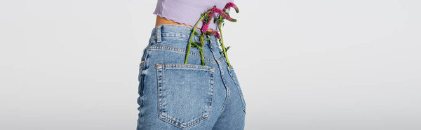 partial view of young woman in jeans with lupine flowers in pockets posing isolated on white, banner