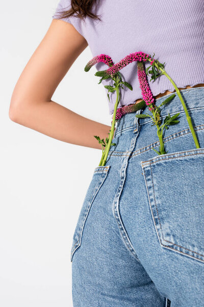 cropped view of young model in jeans with lupine flowers in pockets posing isolated on white 