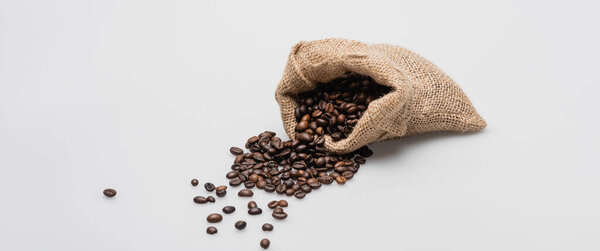 hessian sack bag with roasted coffee beans on white, banner