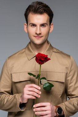 Gri üzerinde kırmızı gül tutan gülümseyen adam