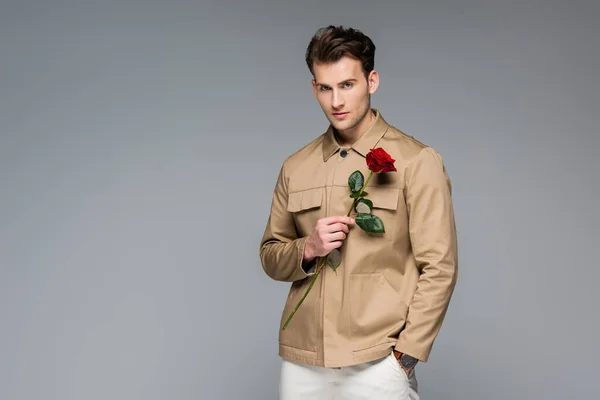 Stylish Man Holding Red Rose While Posing Isolated Grey — Stock Photo, Image