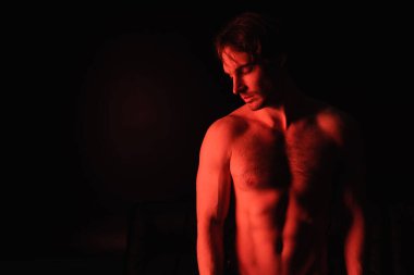 Siyah üzerinde duran seksi gömleksiz adama kırmızı ışık. 