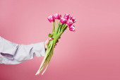 Oříznutý pohled na kytici tulipánů v ruce ženy izolované na růžové 