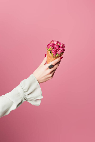 Cropped view of woman holding waffle cone with blooming flowers isolated on pink 