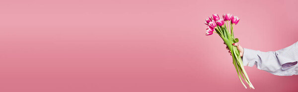 Cropped view of tulips in hand of woman isolated on pink, banner 