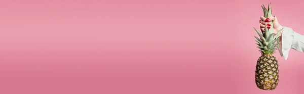 분홍색 현수막 파인애플 분리하여 여자들의 — 스톡 사진
