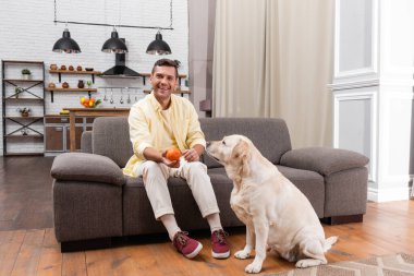 Kanepede oturan ve labrador köpeğinin yanında oyuncak top tutan neşeli adam.