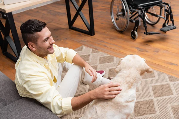 smiling, handicapped man stroking labrador while sitting on floor near wheelchair