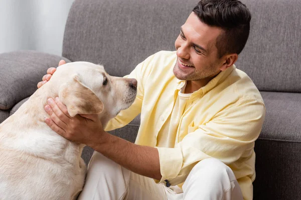 Uomo Soddisfatto Accarezzando Cane Labrador Mentre Seduto Vicino Divano — Foto Stock