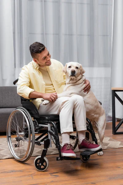 Alegre Homem Deficiente Abraçando Labrador Enquanto Sentado Cadeira Rodas — Fotografia de Stock