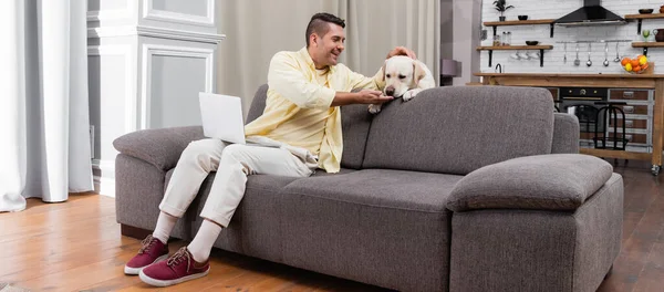 Alegre Freelancer Sentado Sofá Con Ordenador Portátil Acariciando Perro Labrador —  Fotos de Stock