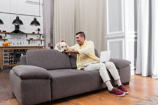 Joyful Freelancer Having Fun Labrador While Sitting Sofa Laptop — Stock Photo, Image