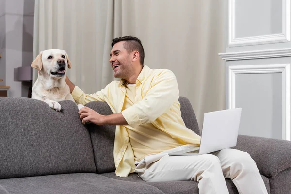 Cheerful Freelancer Petting Labrador While Sitting Couch Laptop — Stock Photo, Image