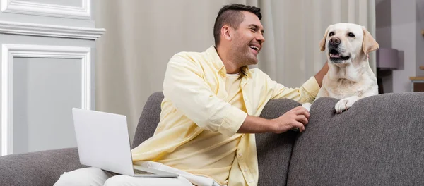 Happy Freelancer Stroking Labrador Dog While Sitting Couch Laptop Banner — Stock Photo, Image