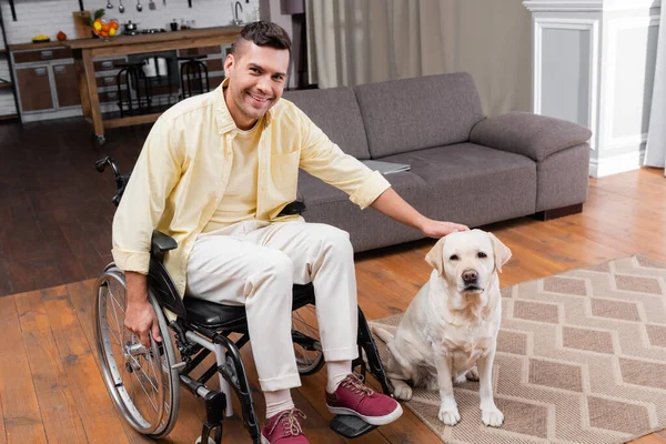 Handikappad Man Petting Labrador Hund Sittande Rullstol Hemma — Stockfoto