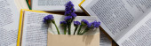horní pohled na fialové květy v obálce na hromadě knih, banner