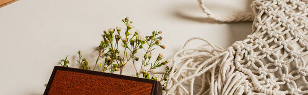 plants in book with hardcover near knitted crossbody bag on white, banner