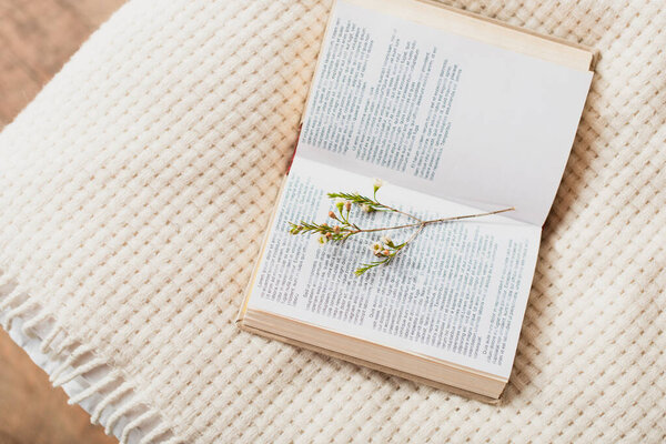 top view of blooming flowers in open book on bed