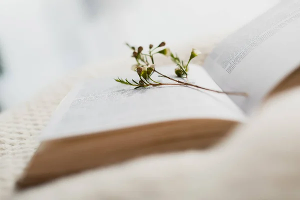 Blommande Blommor Suddig Öppen Bok Sängen — Stockfoto