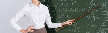 Matematik denklemleri ile tahtaya işaret eden öğretmenlerin kırpılmış görünümü, afiş 