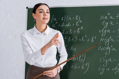Kalemle tahtaya işaret eden genç öğretmen. 