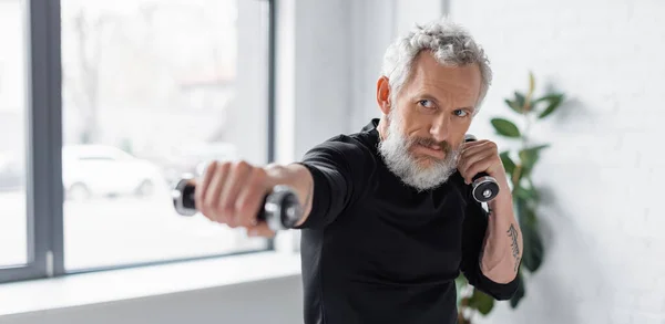 Strong Bearded Man Working Out Dumbbells Living Room Banner — Stock Photo, Image