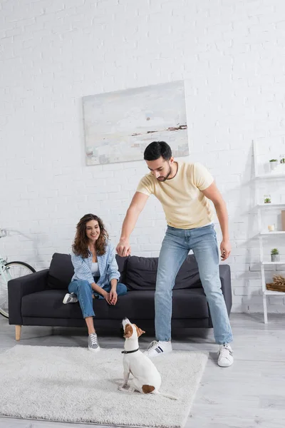 Muslim Man Holding Pet Food Jack Russell Terrier Cheerful Girlfriend — Stock Photo, Image